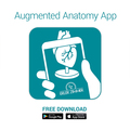 Frontal- und Medianschnitt des Kopfes (Reliefmodell) – EZ Augmented Anatomy